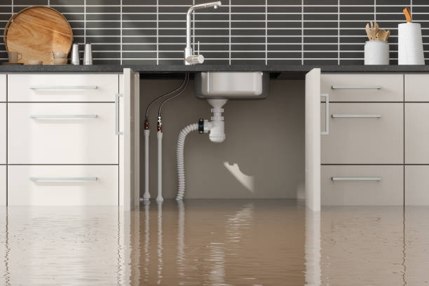 Best Water damage restoration near me  in Rutland, VT